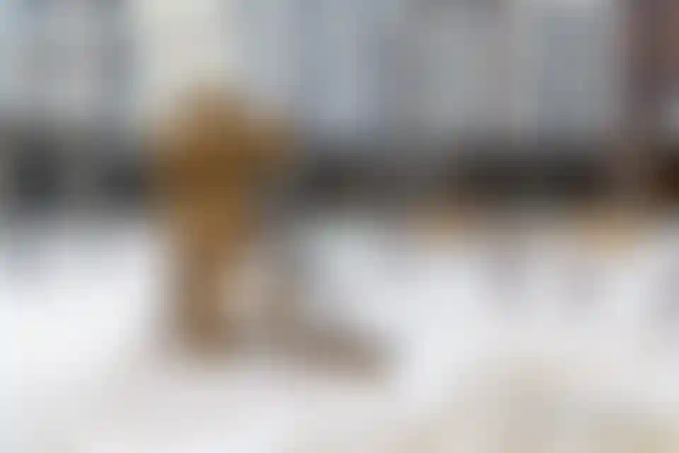 Изображение галереи