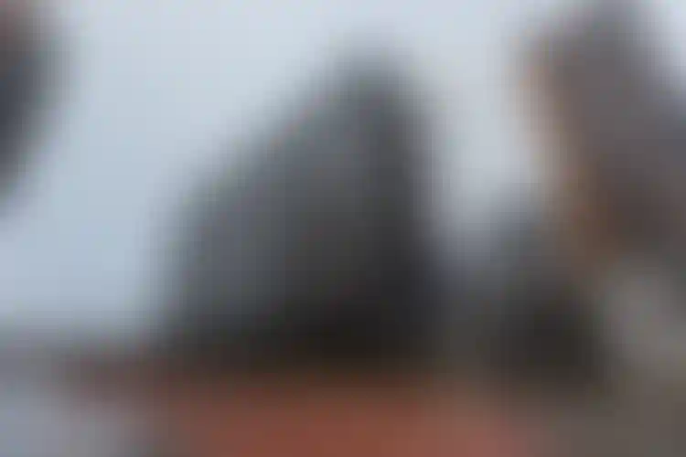 Изображение галереи