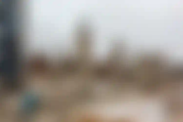 Изображение галереи