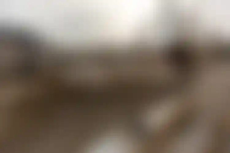 Изображение галереи