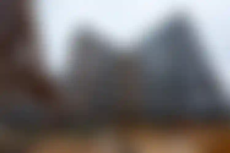 Изображение галереи