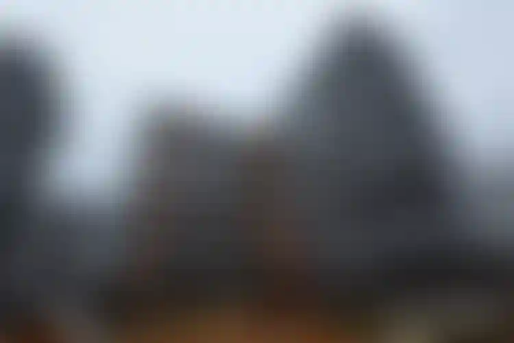 Изображение галереи