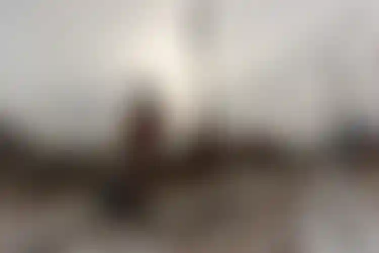 Изображение галереи