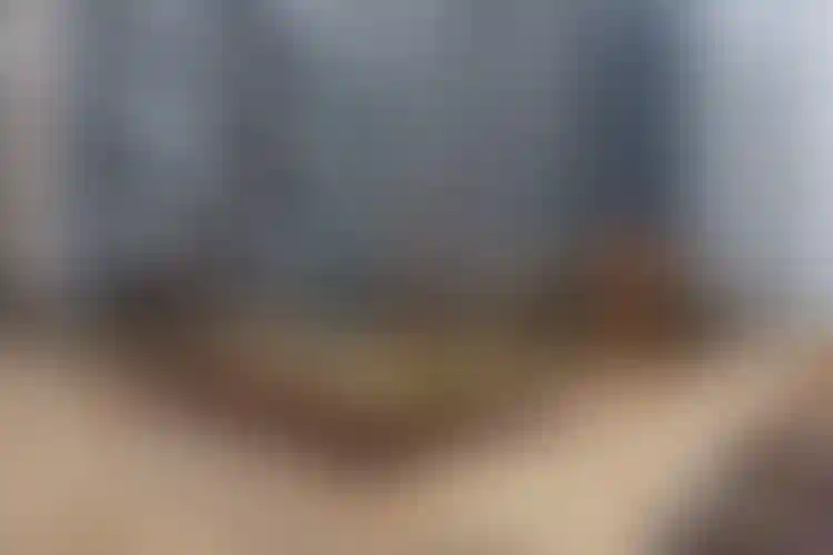 Изображение галереи