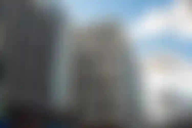 Изображение галереи