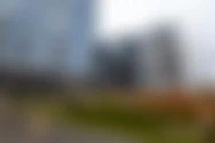 Изображение галереи