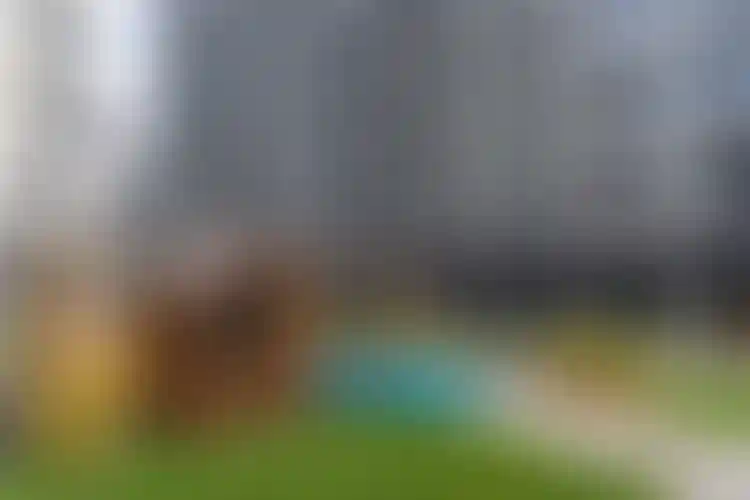 Изображение галереи