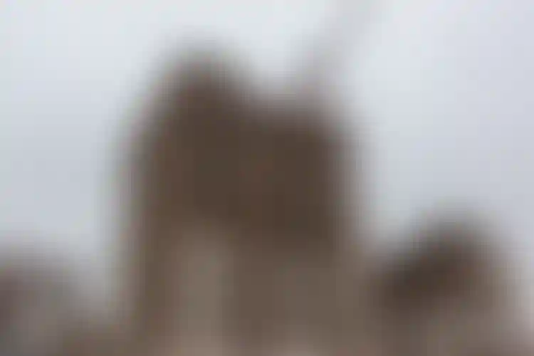 Изображение галереи