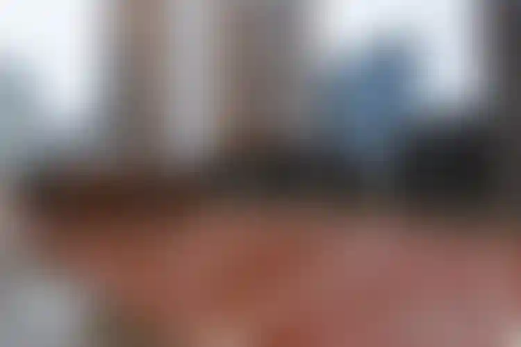 Изображение галереи