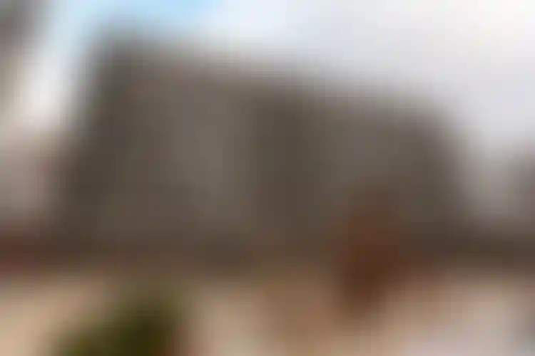 Изображение галереи