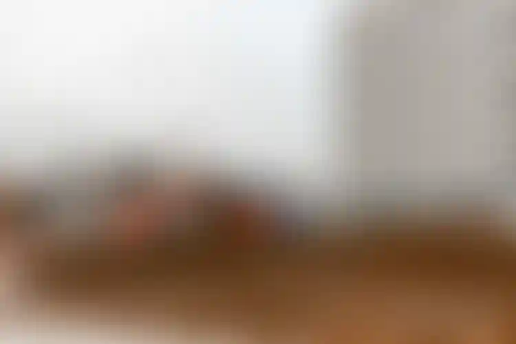 Изображение галереи