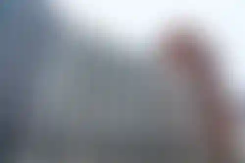 Изображение галереи