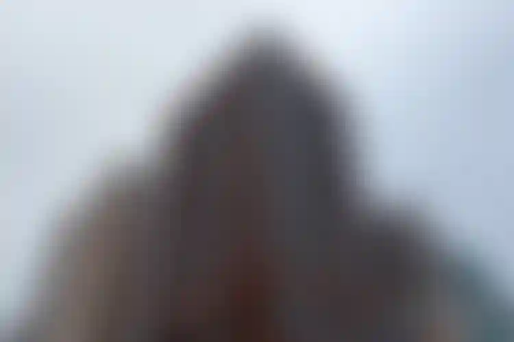 Изображение галереи