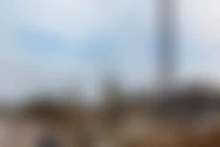 Изображение галереи