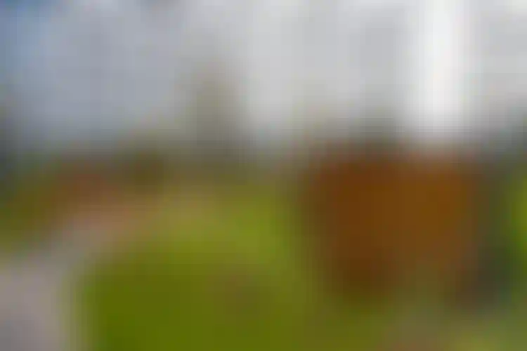 Изображение галереи