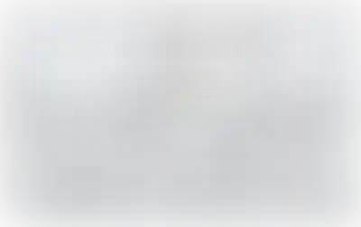 Изображение карточки лота